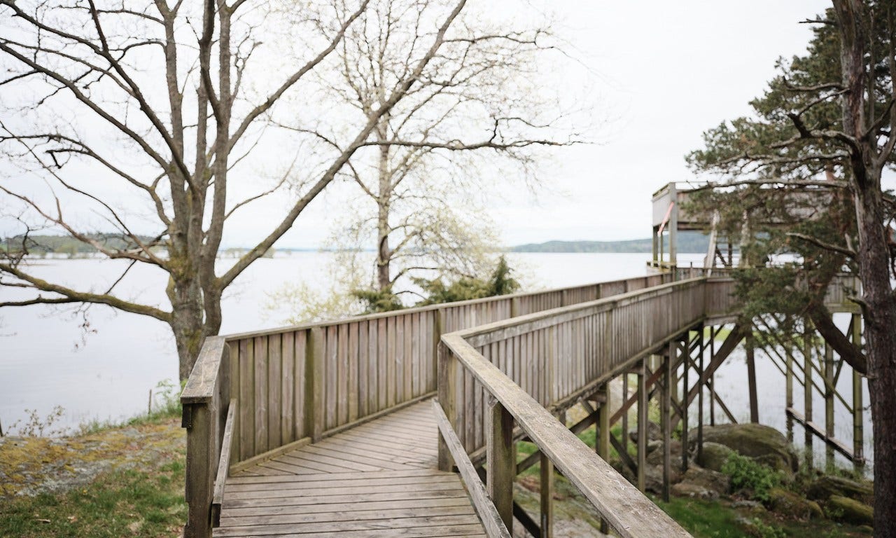 Miljöbild sjö
