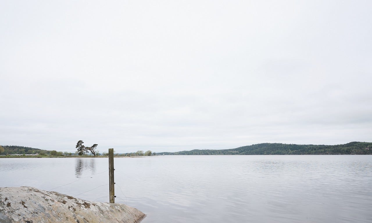 Miljöbild sjö