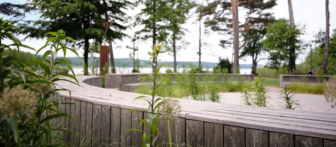 Miljöbild park