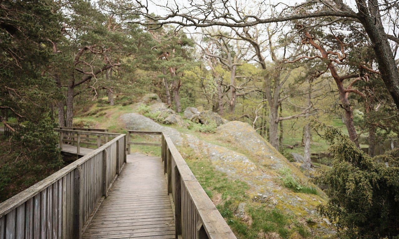 Miljöbild friluftsområde