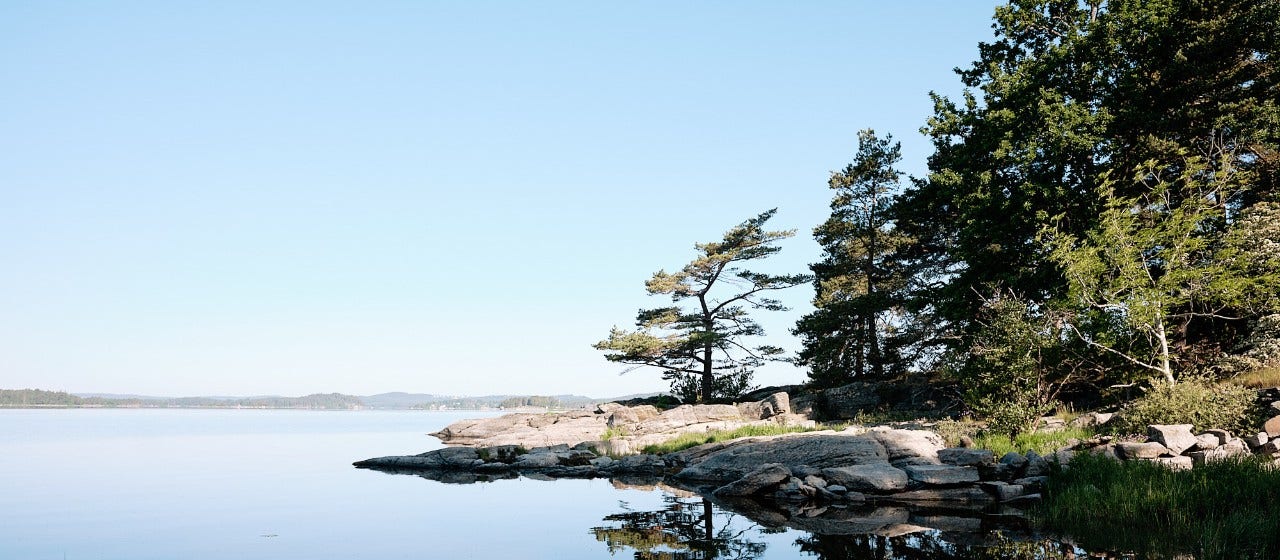 Miljöbild sjö