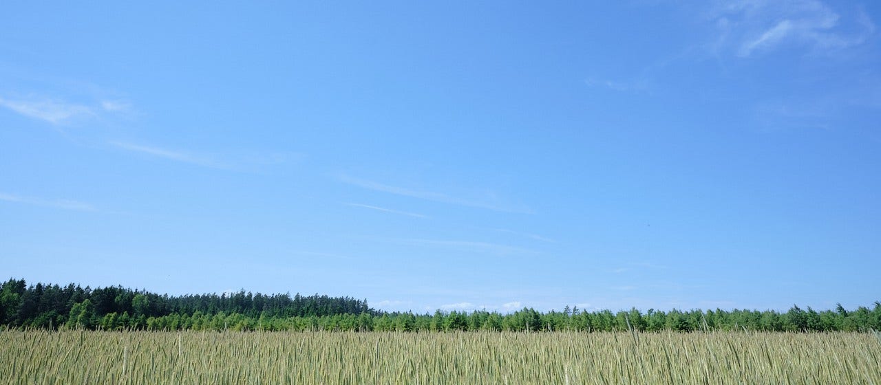 Miljöbild med åkermark