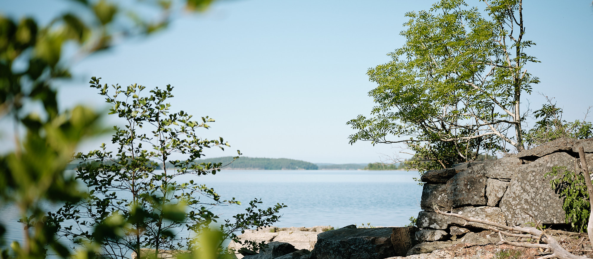 Miljöbild sjö