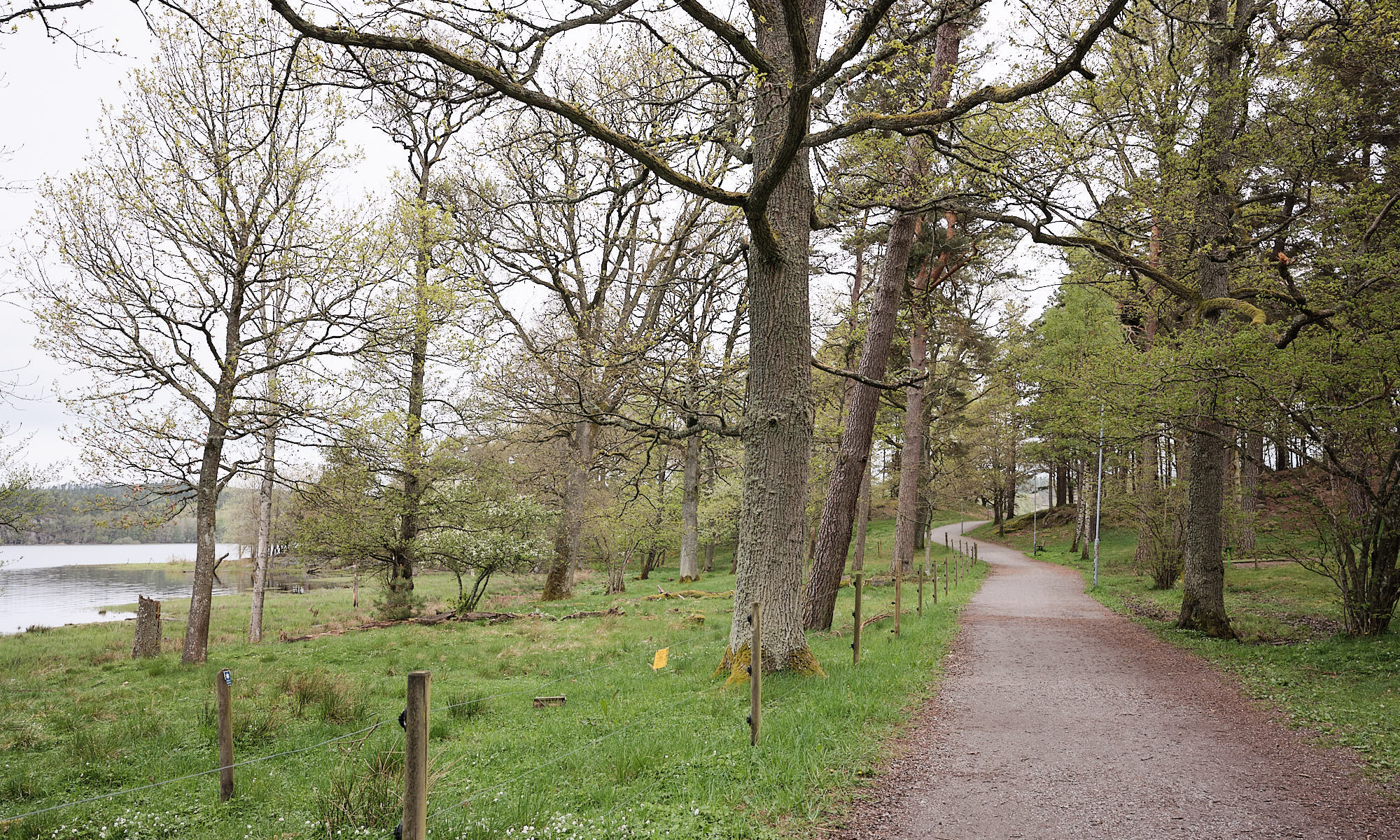 Miljöbild friluftsområde