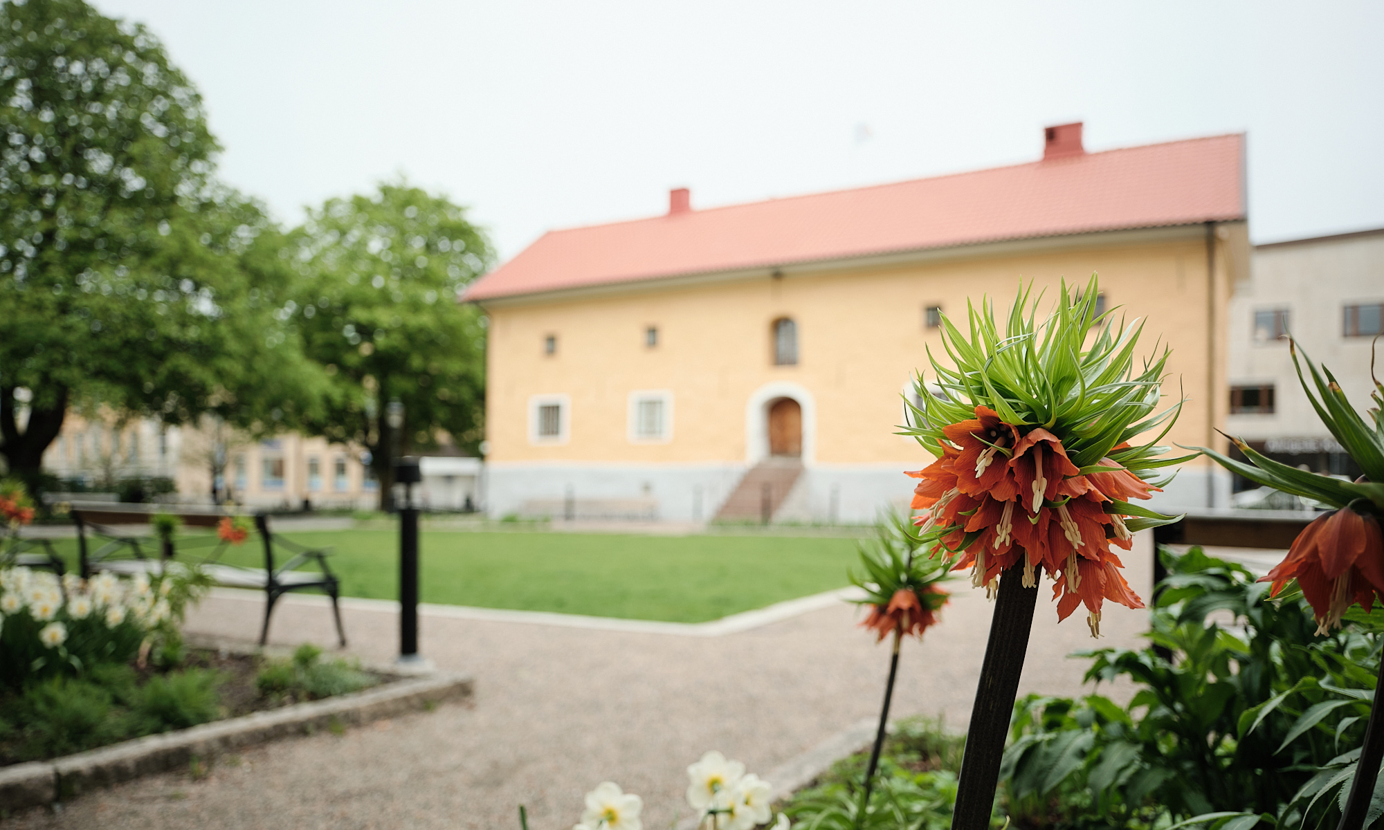 Miljöbild park