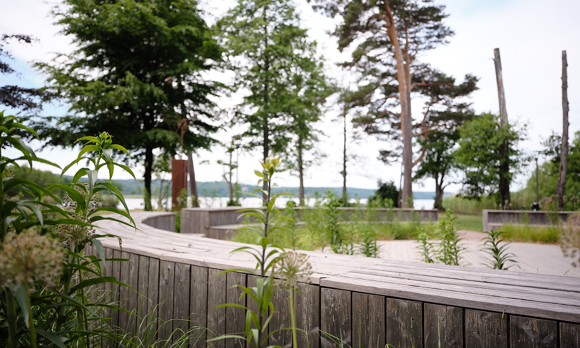 Miljöbild park