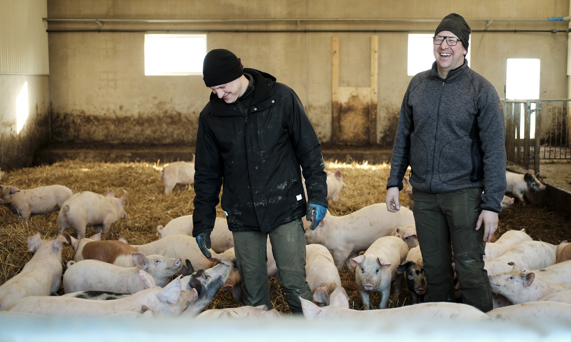 Två bönder tillsammans med deras små grisar