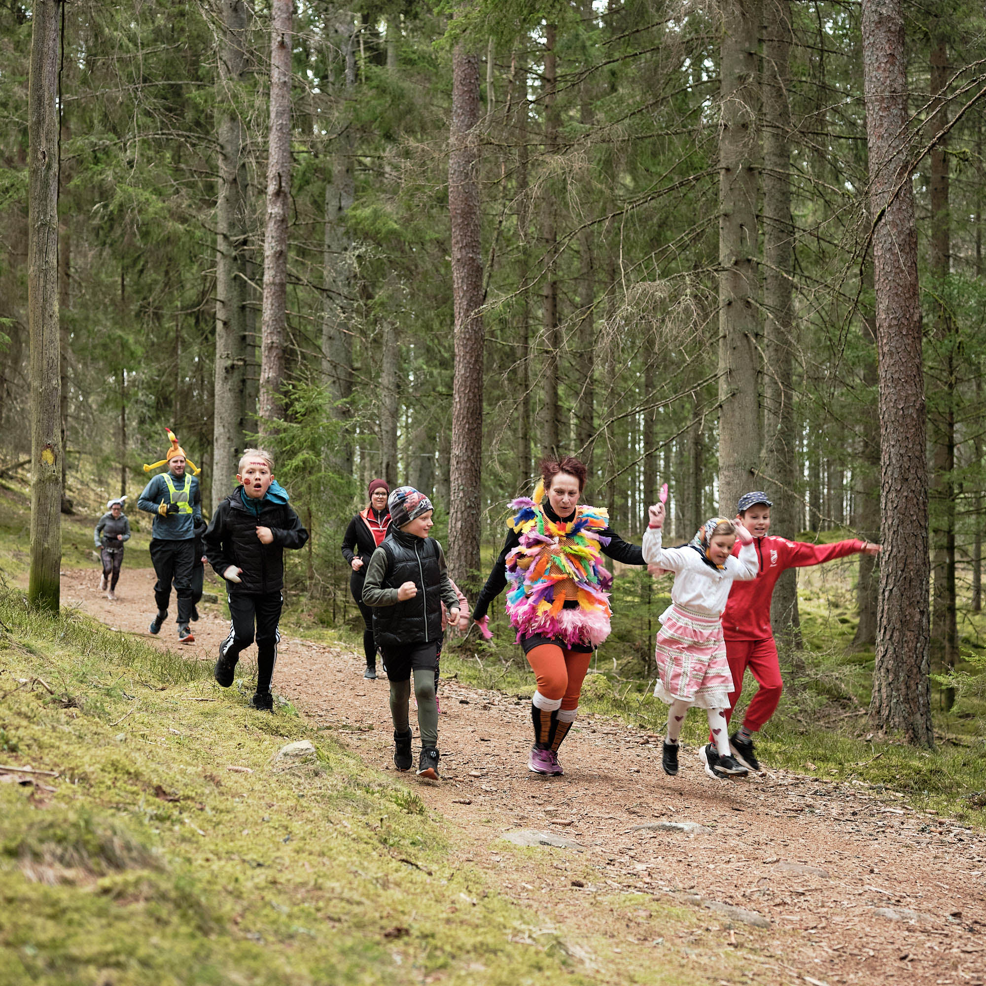 Barn som springer på stig i skogen