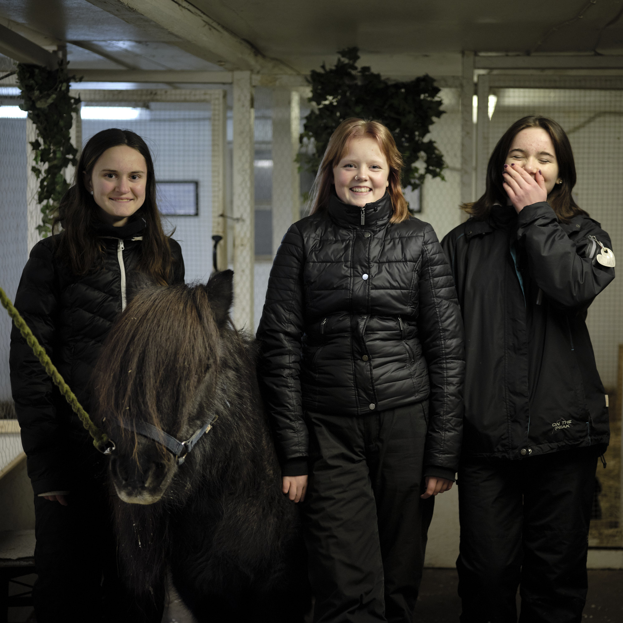 Tre tjejer och en svart häst