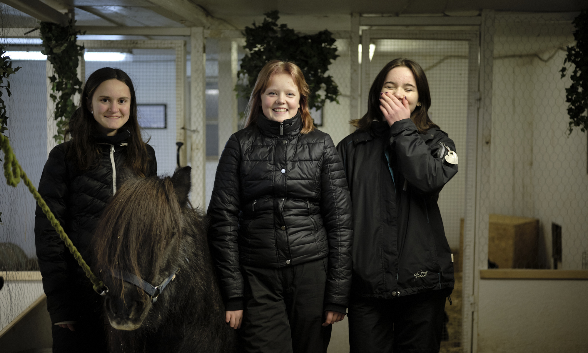 Tre tjejer och en svart häst