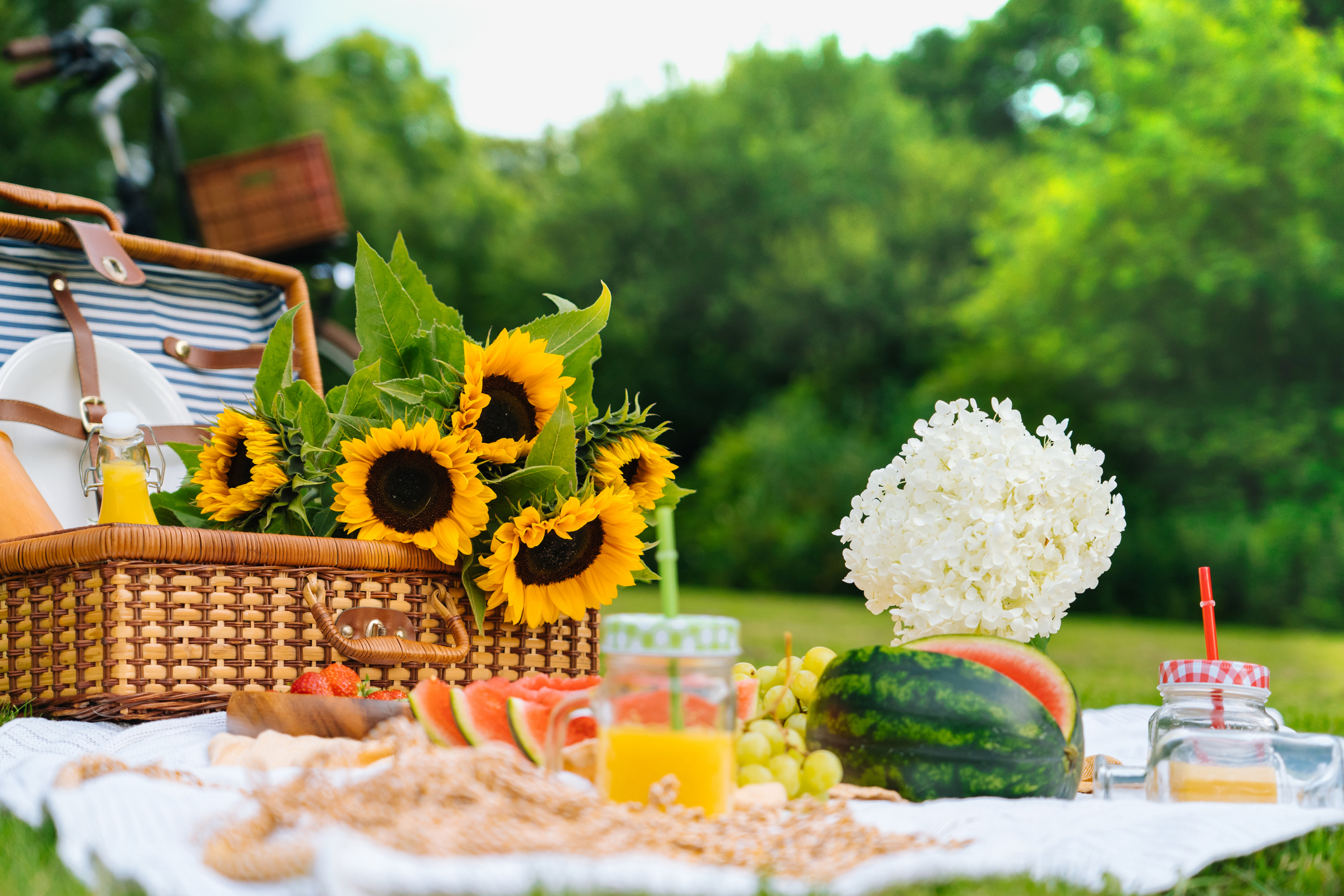 Picknickfilt uppdukad i naturen